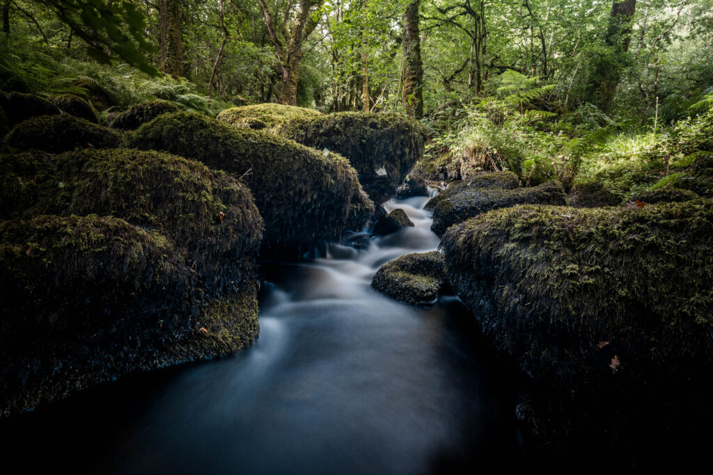 Clean Water