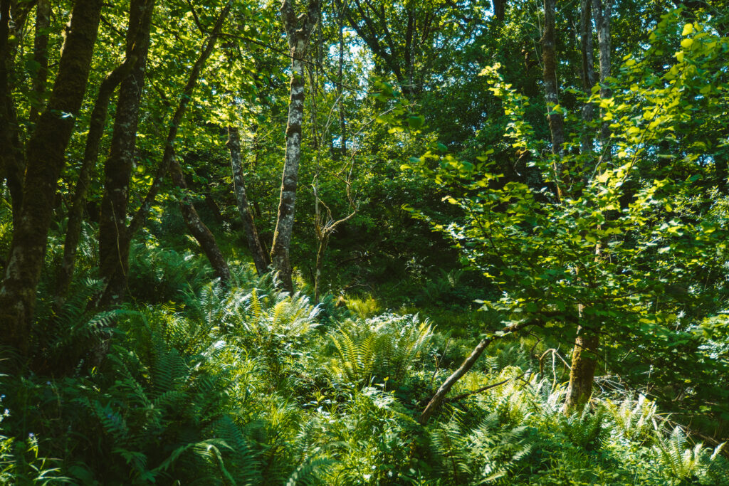 Hope is Just a Four-Letter Word