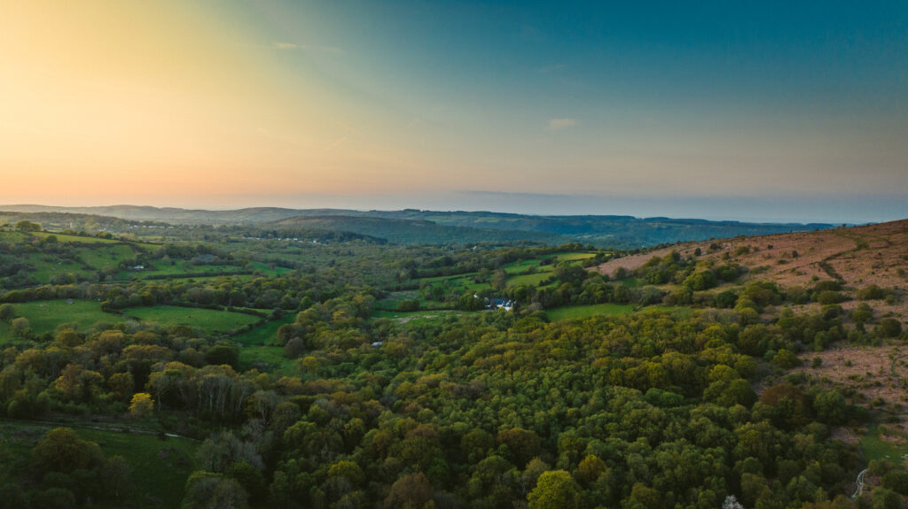 Beyond Self-Interest