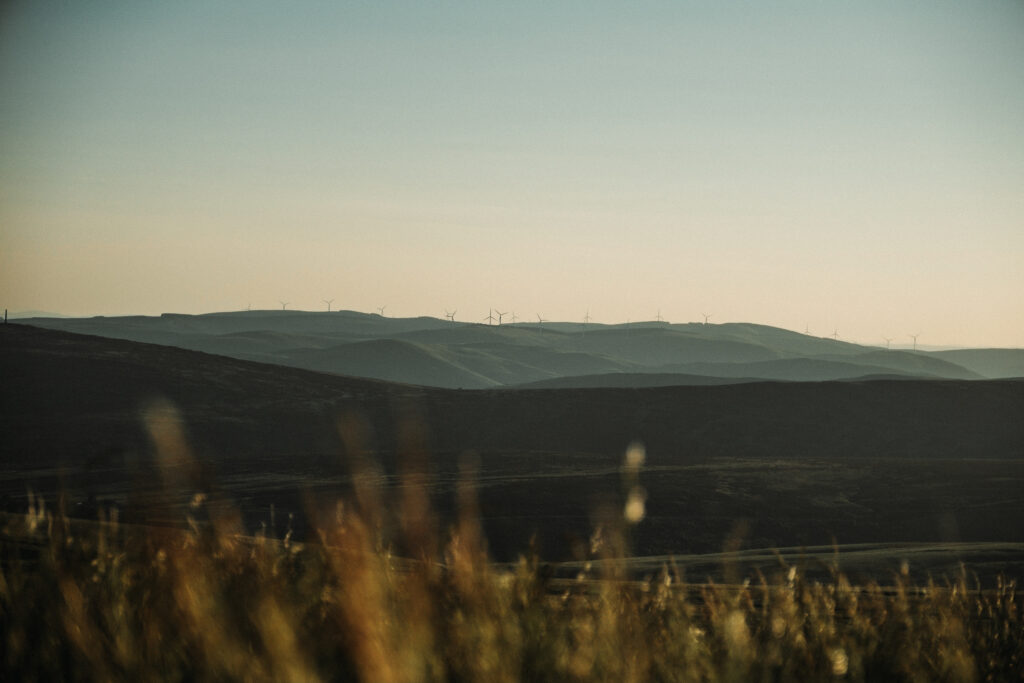 The Privilege of Criticism