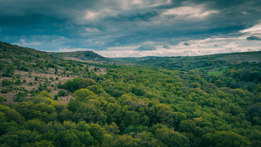 How We Buy Land