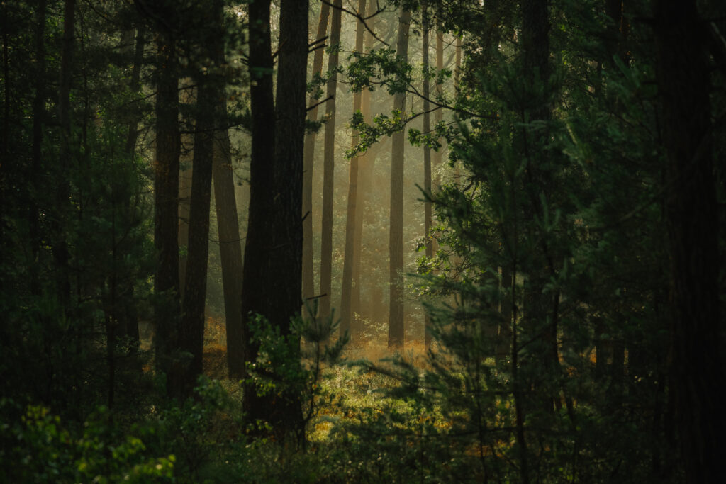 Please Don’t Apply for These Roles!