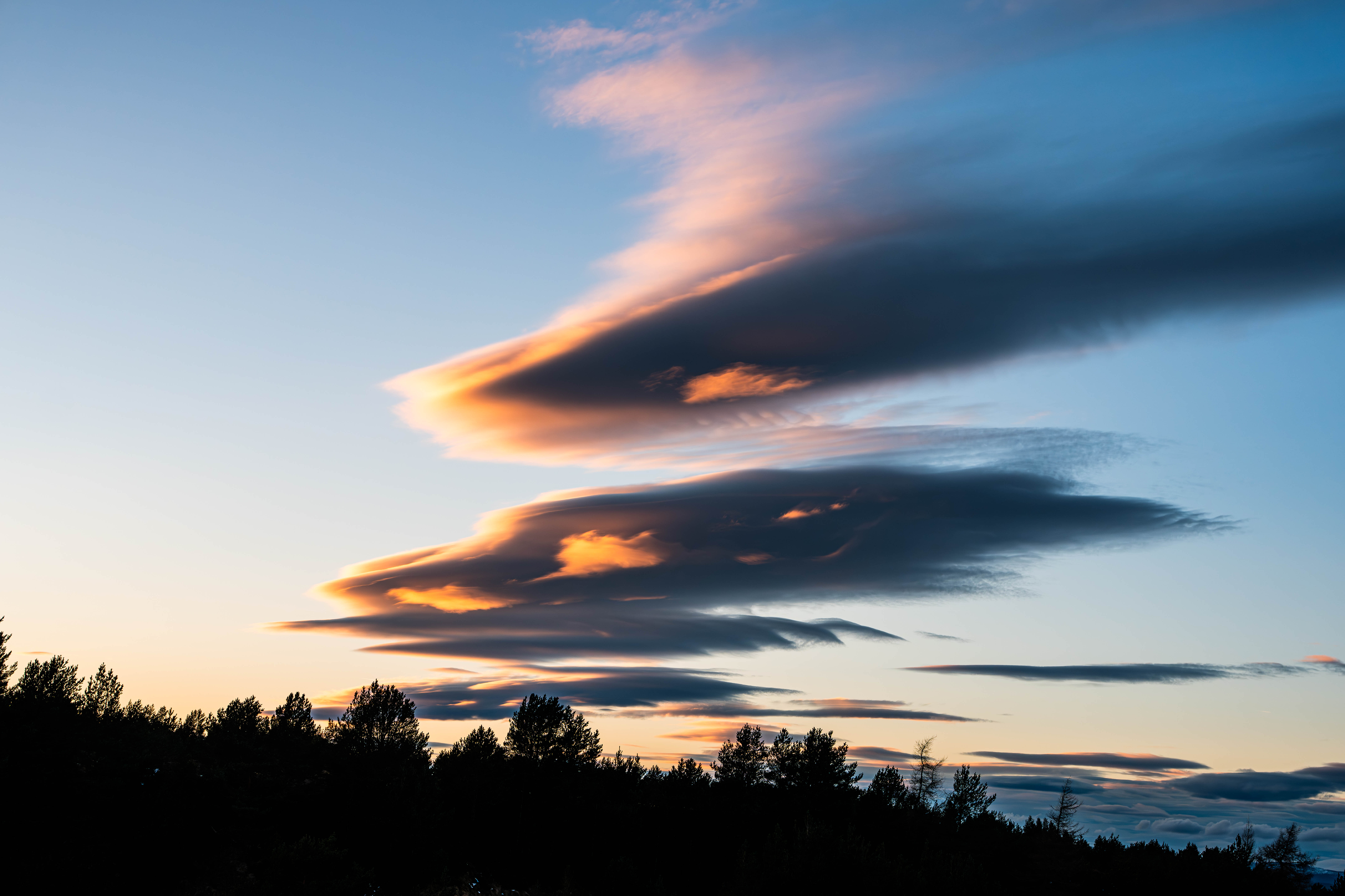 How Oxygen Conservation Remains Positive in the Face of Climate & Biodiversity Anxiety