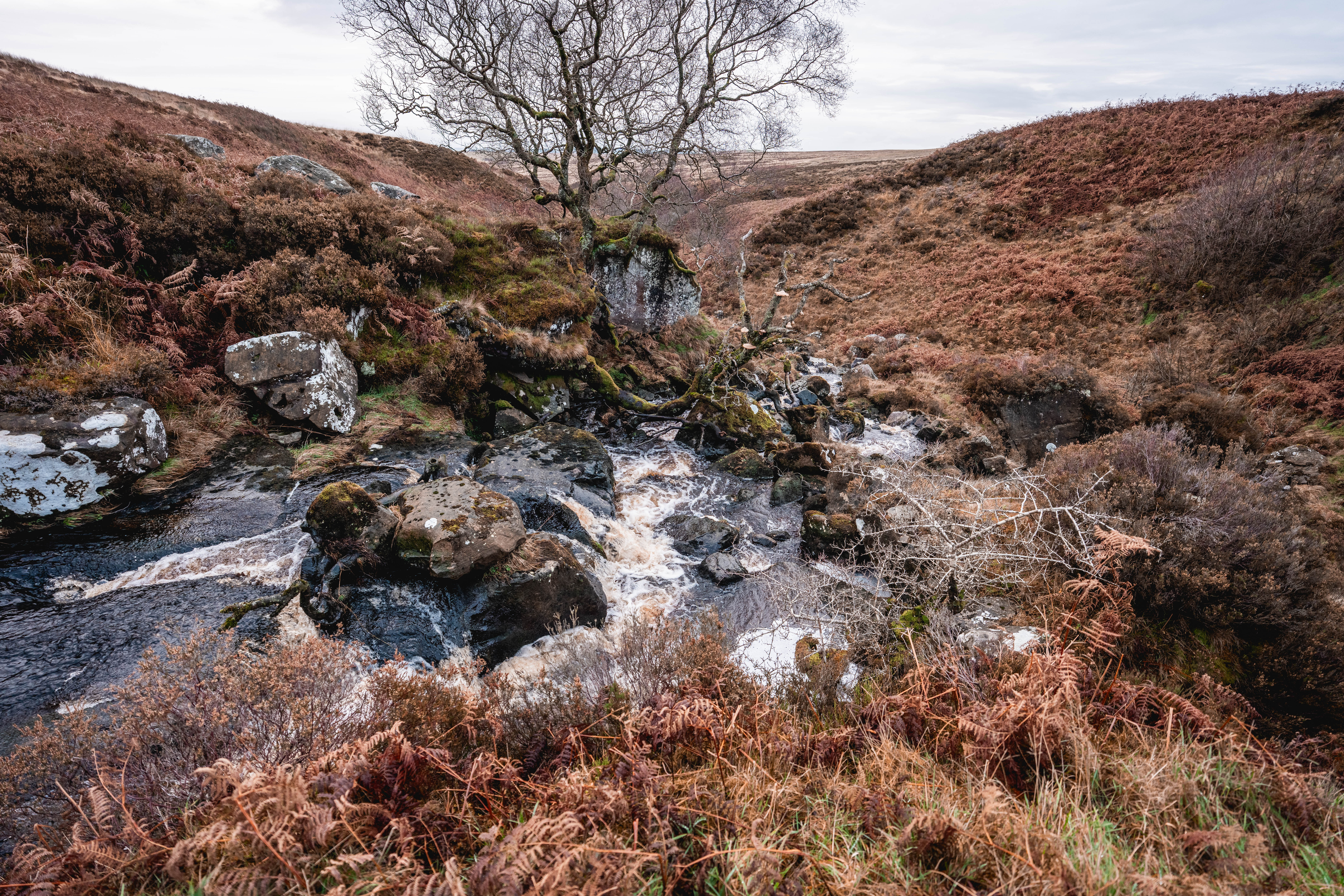 Polluter Pays, Protectors Profit