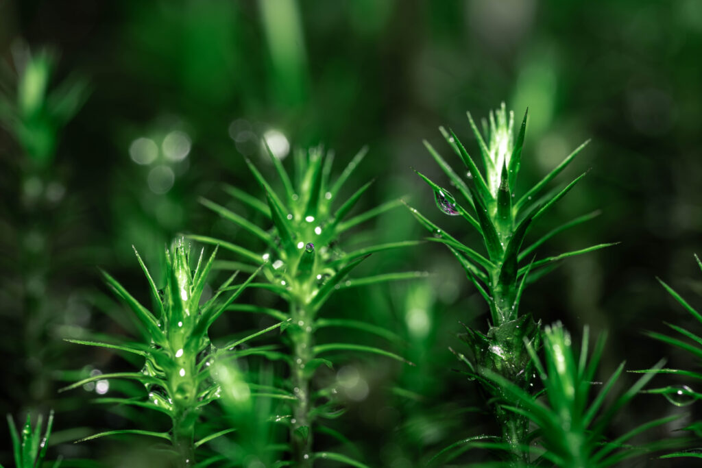 Nature Doesn’t Care About Culture Wars