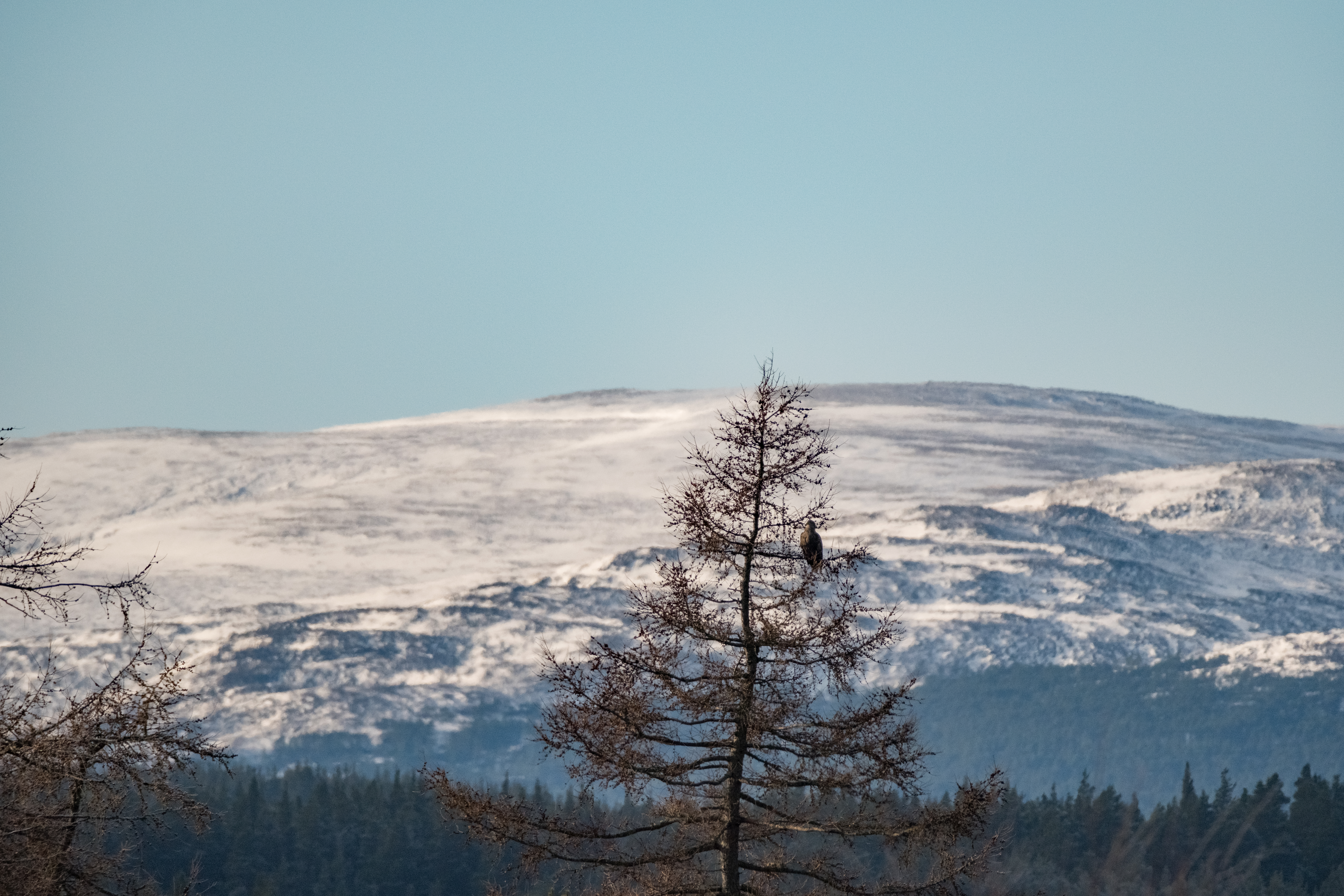 The Importance of Set Pieces in Football and How Business Can Learn From Them