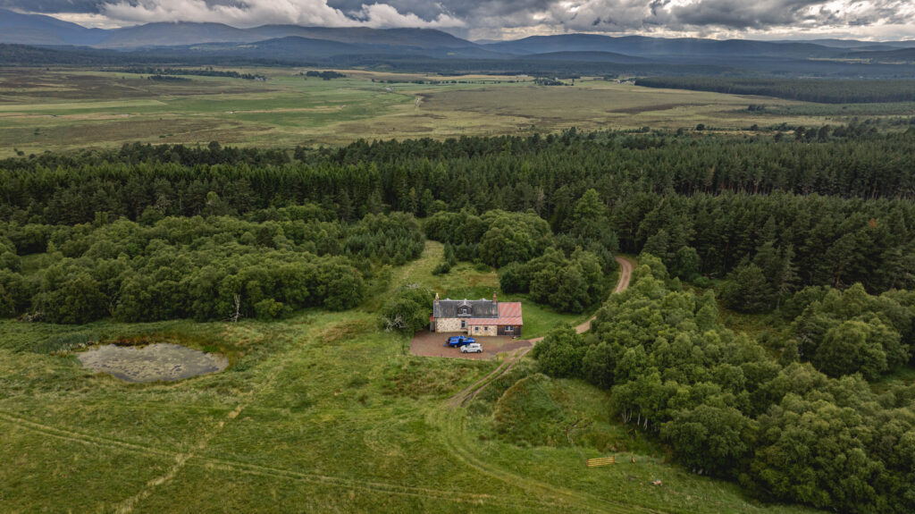 Paying to Pollute? Only If You’re in the Wrong Market