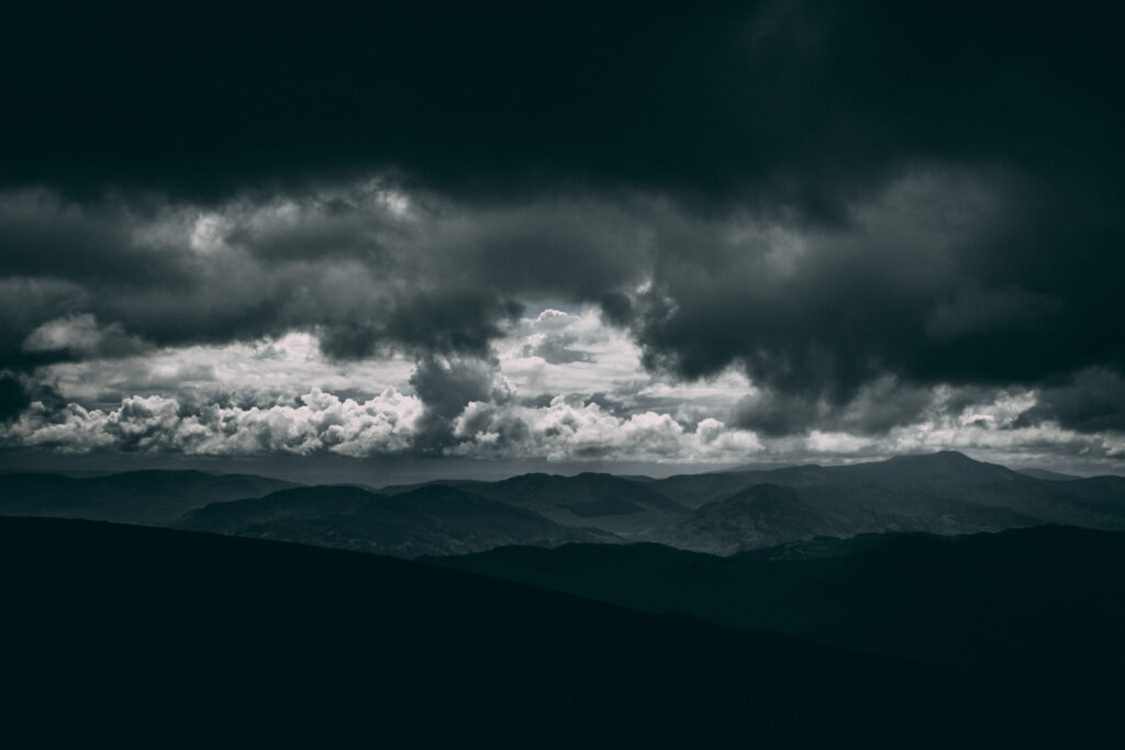 Don’t Buy Carbon Credits – Scale Conservation!