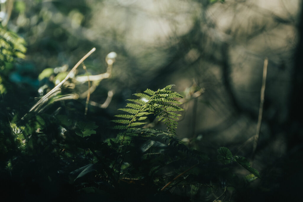 The Business of Conservation