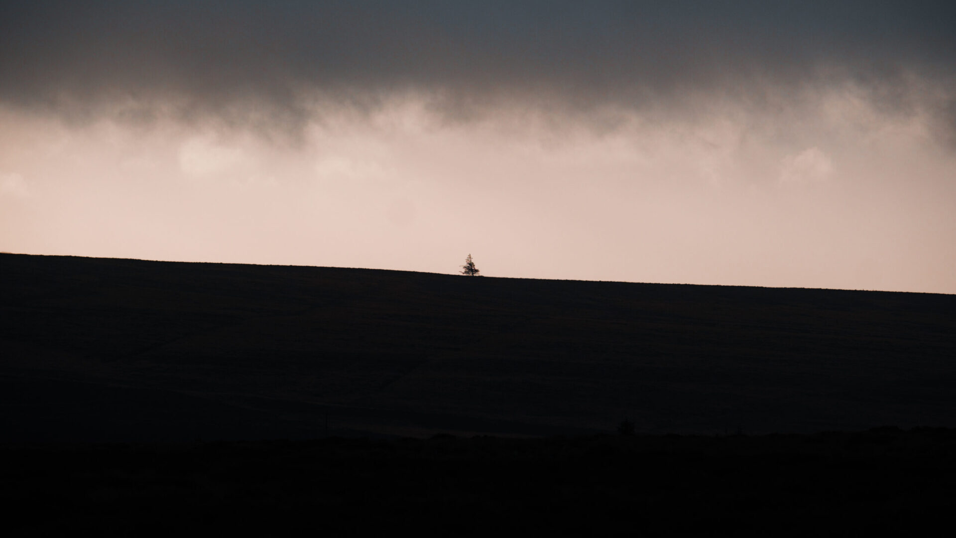 Unveiling the Potential: Transforming a Blank Canvas