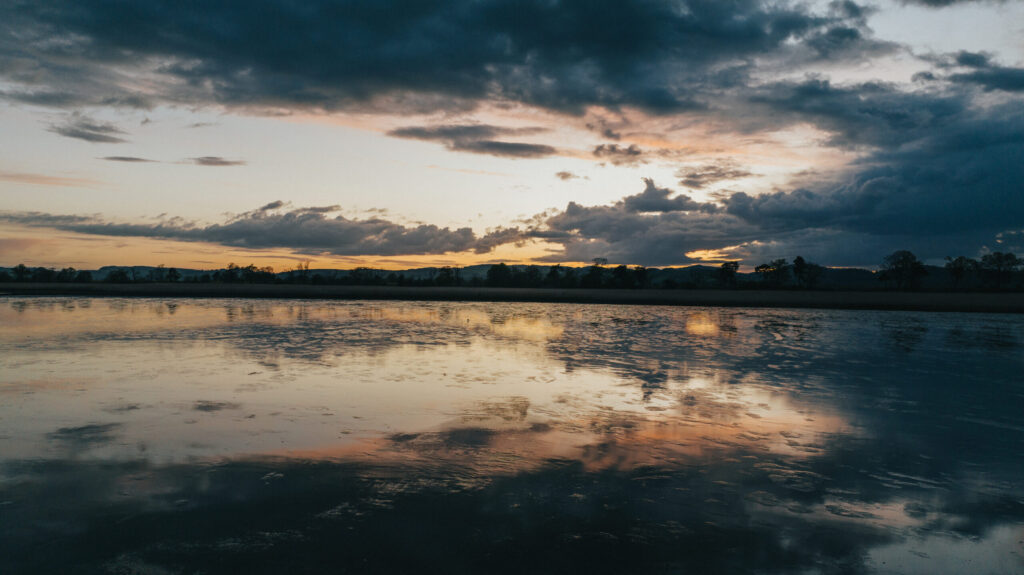 The Urgent Call to Be Kind: Battling Climate Change, Biodiversity Crisis, and Our Collective Concerns