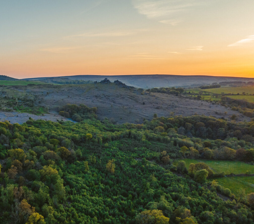 The Best Carbon Credits (Quality Matters)