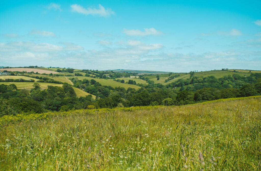 Inspiring Change: Oxygen Conservation’s Approach to Leading Biodiversity Net Gain