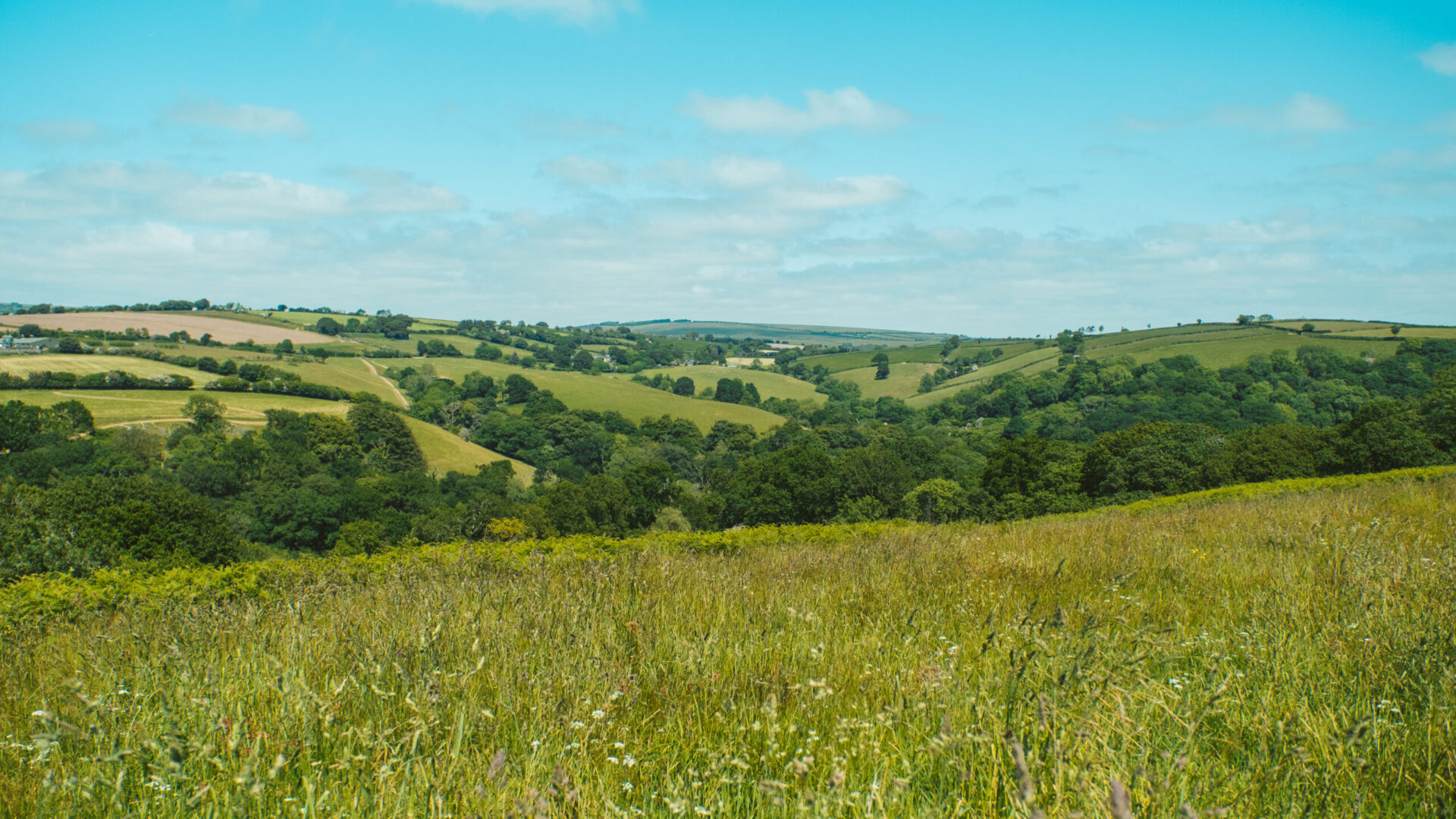 Inspiring Change: Oxygen Conservation’s Approach to Leading Biodiversity Net Gain