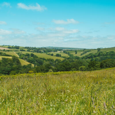Inspiring Change: Oxygen Conservation’s Approach to Leading Biodiversity Net Gain