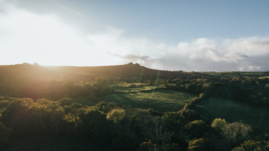 Eco-Gaming: How Virtual Worlds Can Shape Real-World Environmental Improvement