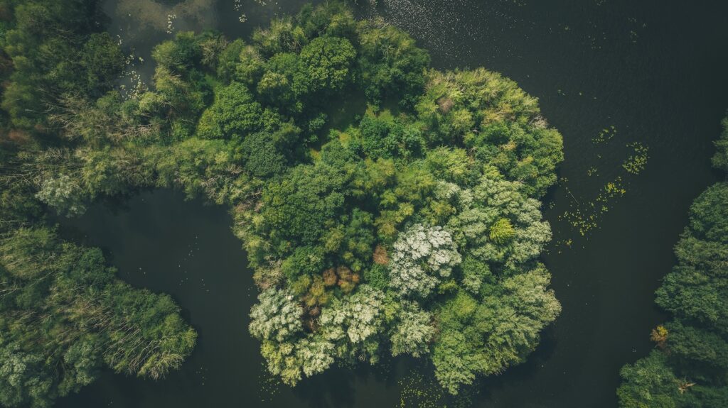 Carbon Credits: The New Currency in 2030’s Eco-Economy
