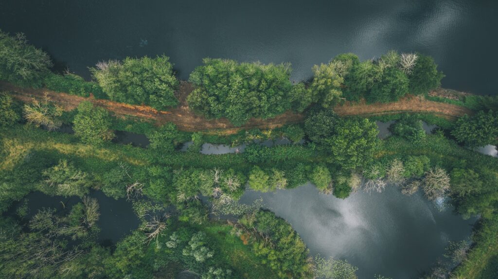 Listening to the River: Rethinking our Relationship with Nature this World River’s Day