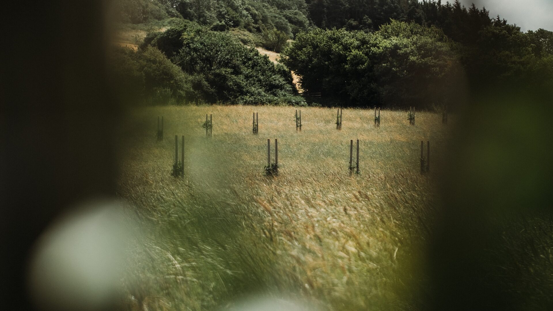No Farmers, No Food: A Dangerous Oversimplification