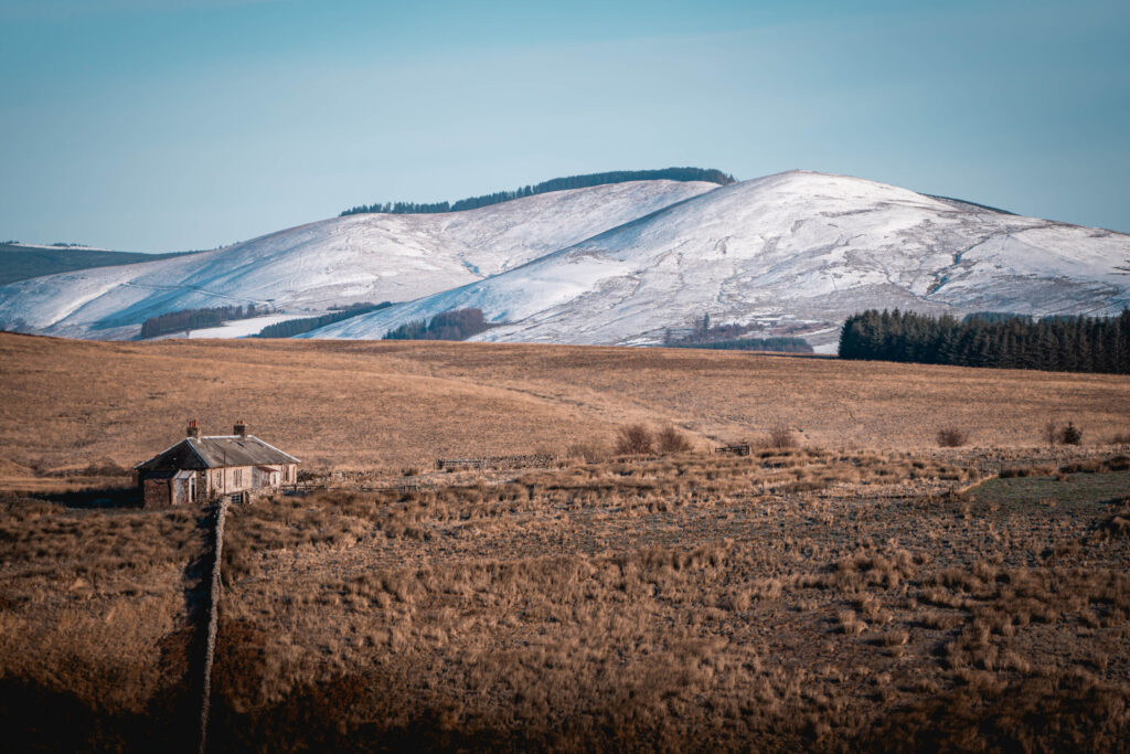 Will Natural Capital Mean the End of Philanthropy?
