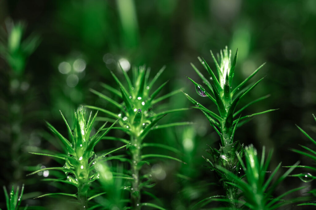 Nature Doesn’t Care About Culture Wars