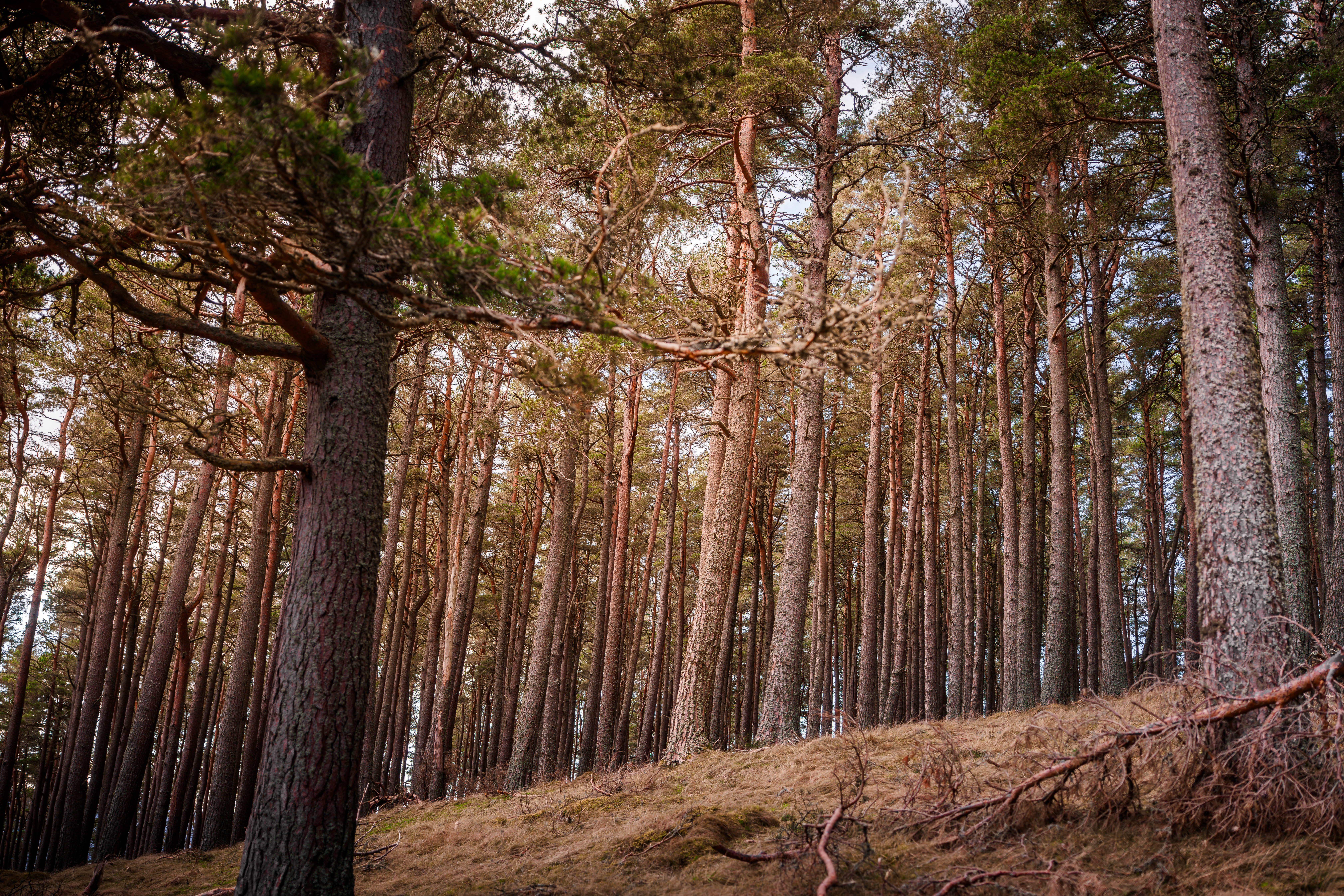 Climate and Nature Risk Are Already On the Balance Sheet