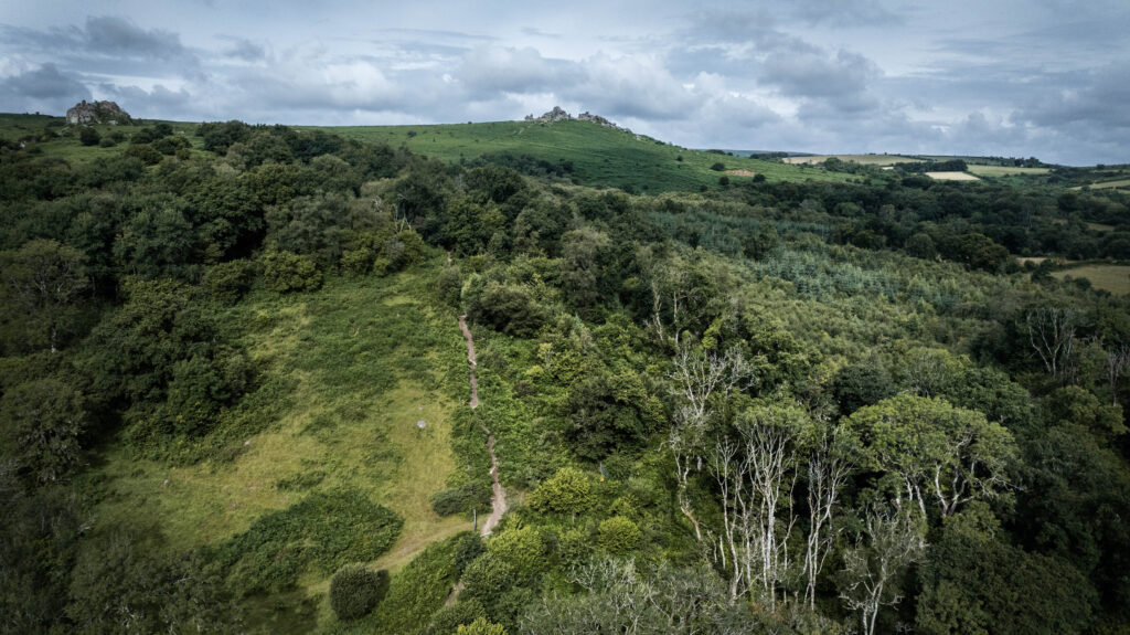 2025: The Year the Land Began to Breathe Again