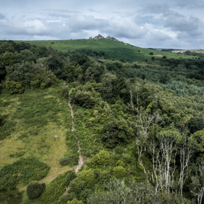 2025: The Year the Land Began to Breathe Again